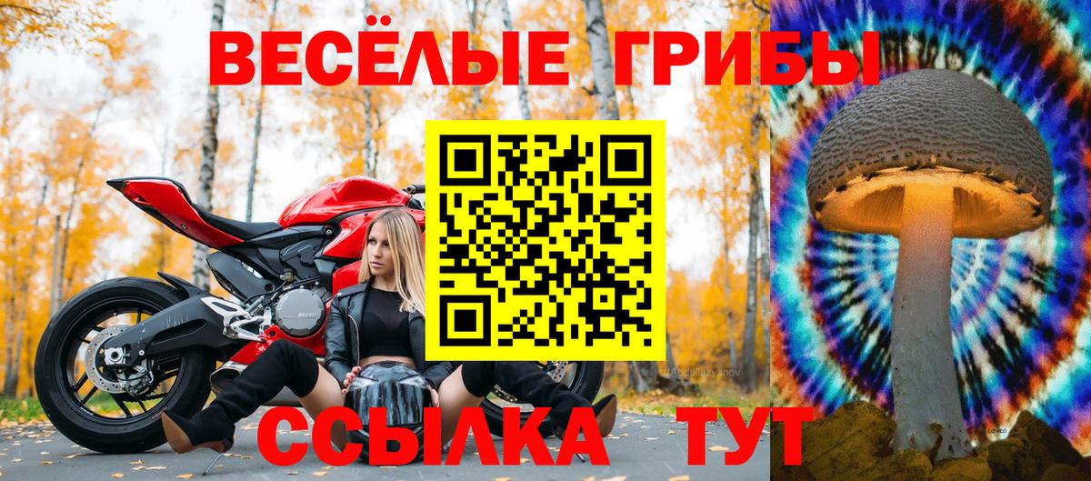 Галлюциногенные грибы прущие грибы  Псилоцибиновые грибы прущие грибы  Вход с VPN  Россия 
